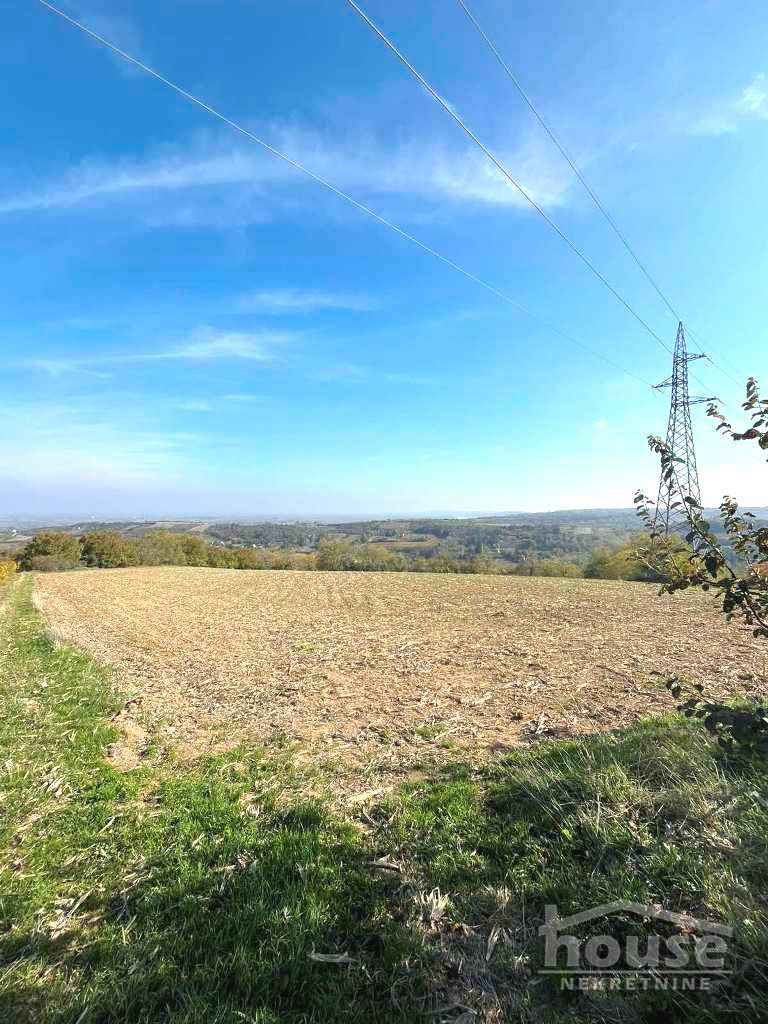 SREMSKI KARLOVCI, SREMSKI KARLOVCI, 7081203