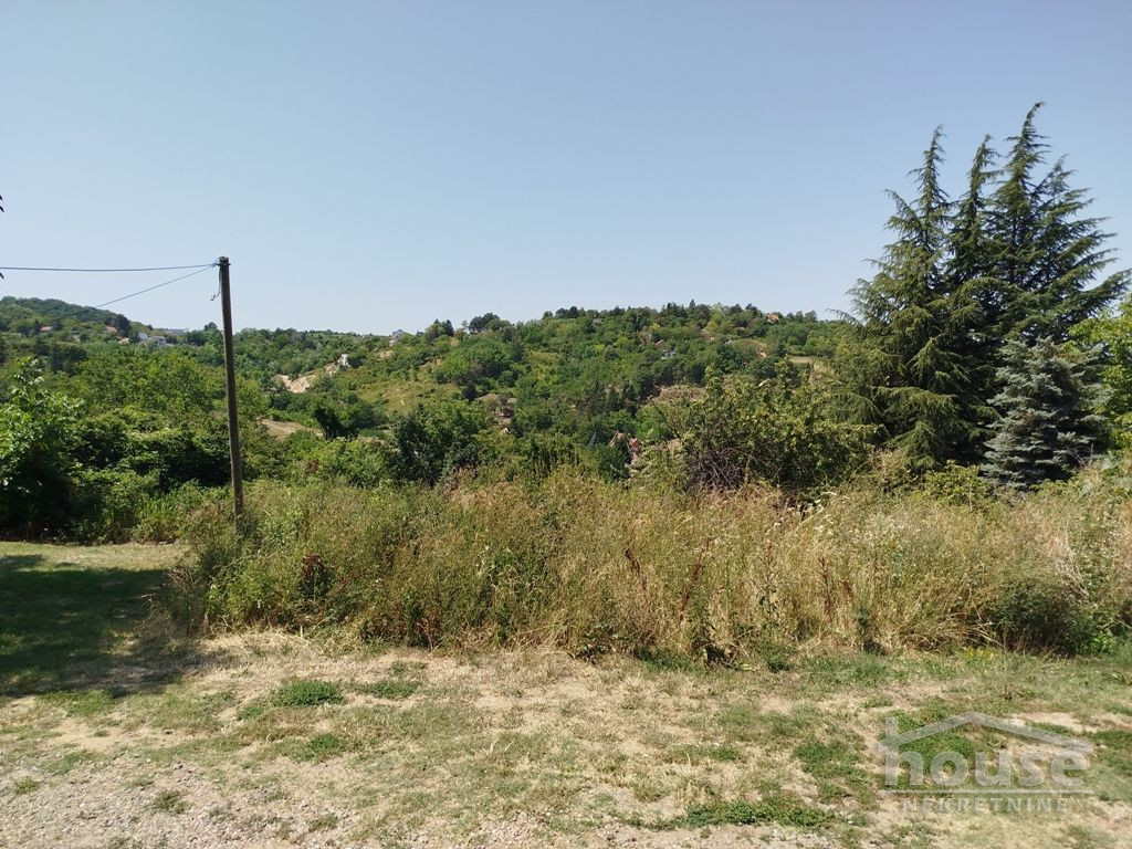 POPOVICA, SREMSKA KAMENICA, 7081220