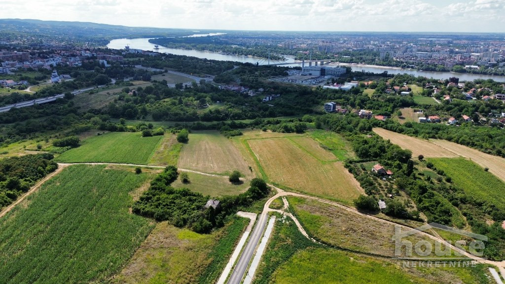 MIŠELUK, PETROVARADIN, 7081221